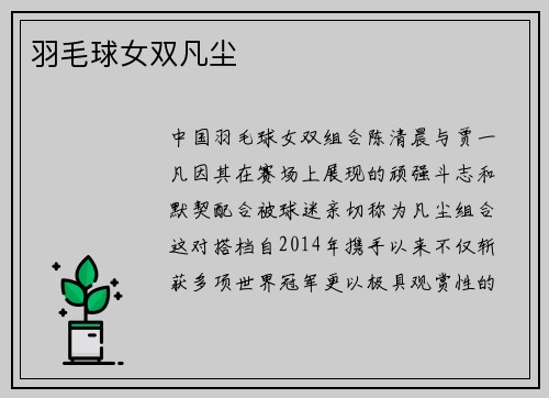 羽毛球女双凡尘